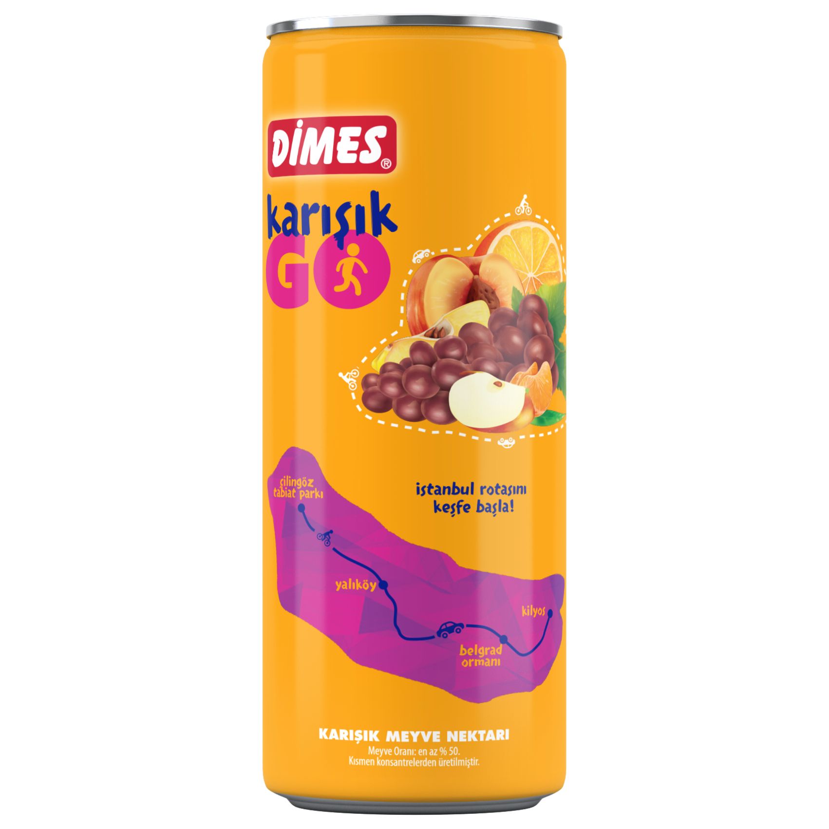 DİMES TENENEKE MEYVE SUYU KARIŞIK 250 mL